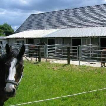 Bild: Stall in  Bochum