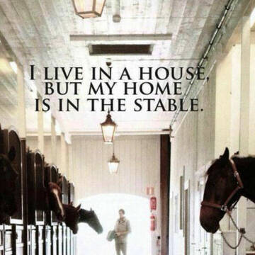 Bild: Stall in  Rheinbach