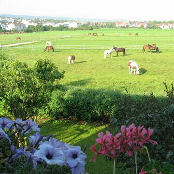 Bild: Stall in  Korntal