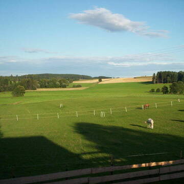 Bild: Stall in  Konradsreuth