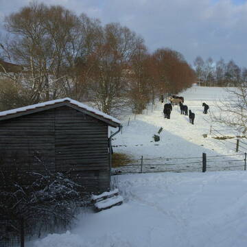 Offenställe + Winterpaddock