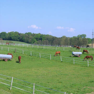Bild: Stall in  Neuching