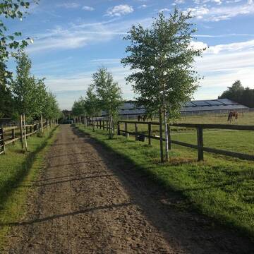 Bild: Stall in  Ense