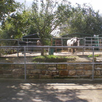 Bild: Stall in  Filderstadt