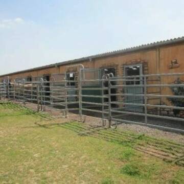 Boxen mit Paddock und eigener Weide