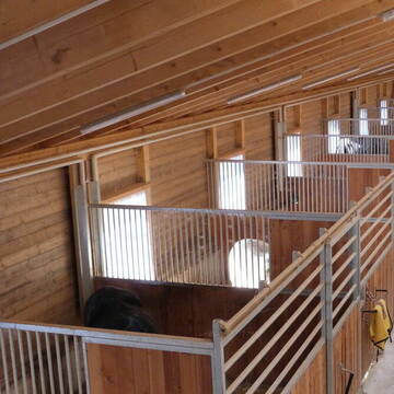 Bild: Stall in  Triftern