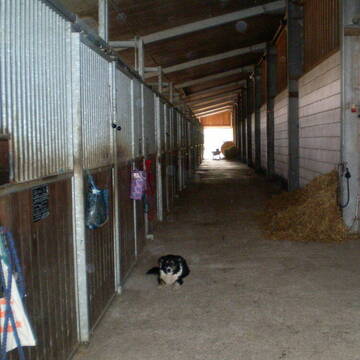 Stallgasse Innenboxen