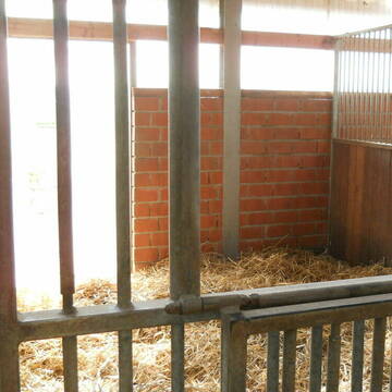 Bild: Stall in  Rheindahlen