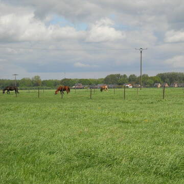 Bild: Stall in  Rheindahlen