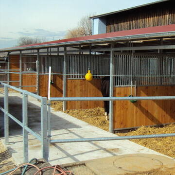 Bild: Stall in  Nürtingen