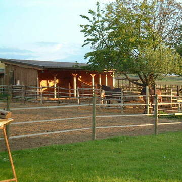 Bild: Stall in  Stadecken-Elsheim