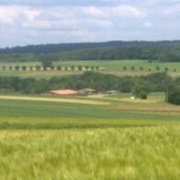 Bild: Stall in  Hofgeismar