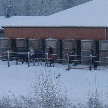 Bild: Stall in  Hofgeismar