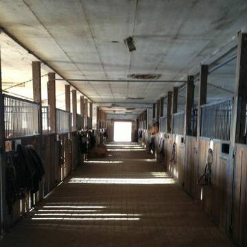 Bild: Stall in  Hofgeismar