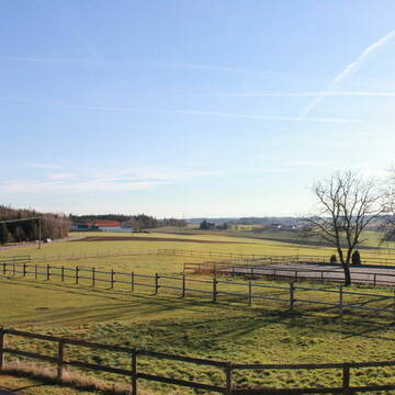 Allwetterreitplatz 20 x 40 eingebettet in Koppeln