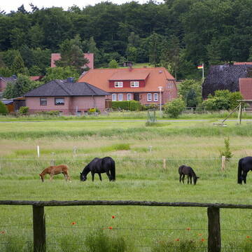 Bild: Stall in  Lübberstedt