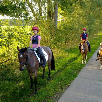 Bild: Stall in  Lübberstedt