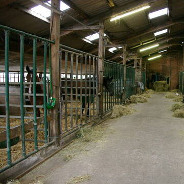 Bild: Stall in  Lübberstedt