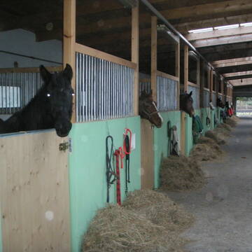Bild: Stall in  Apolda