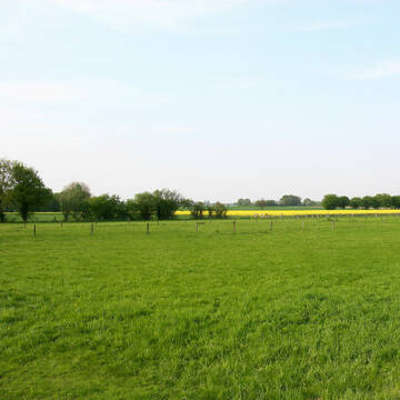 Bild: Stall in  Bönen