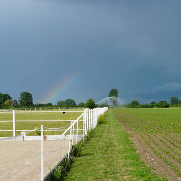 Bild: Stall in  Allmendfeld