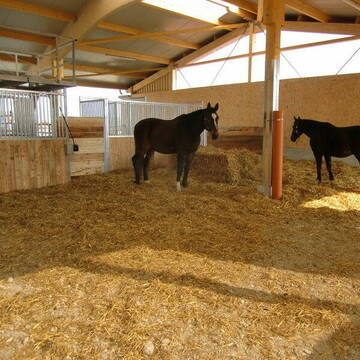 Bild: Stall in  Türkenfeld