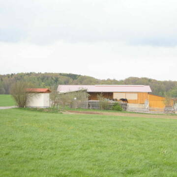 Bild: Stall in  Türkenfeld
