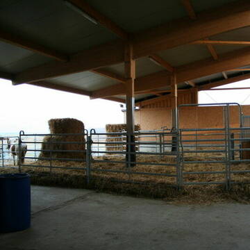 Bild: Stall in  Türkenfeld