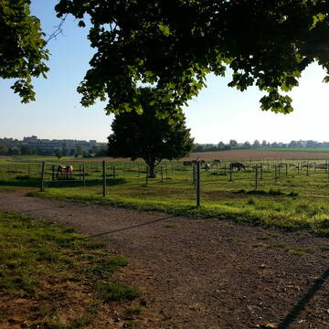 Bild: Stall in  Münchingen