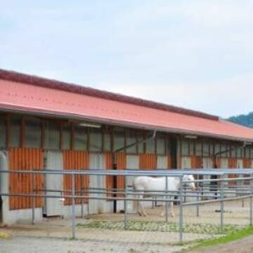 Boxenstall mit Paddock