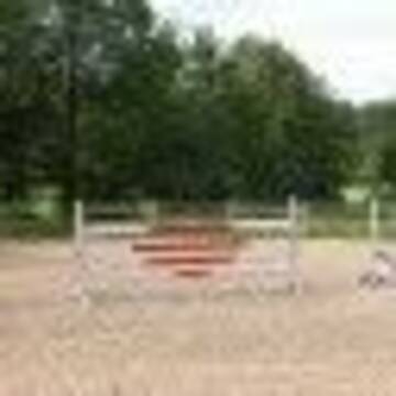 Blick auf den Reitplatz