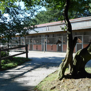 Bild: Stall in  Telgte