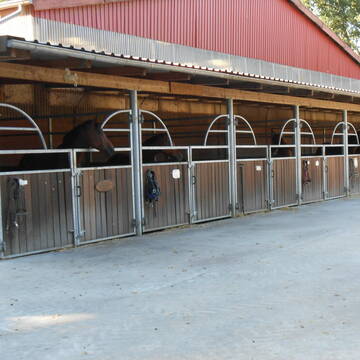 Bild: Stall in  Telgte