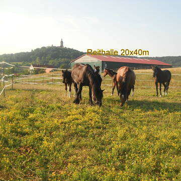 Koppel und Reithalle