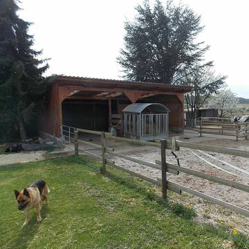 Bild: Stall in  Köngen