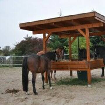 Bild: Stall in  Trebbin