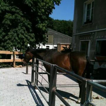 Bild: Stall in  Kupferdreh