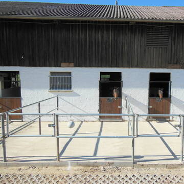 Bild: Stall in  Reusten