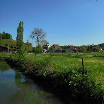Bild: Stall in  Reusten