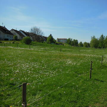Bild: Stall in  Reusten