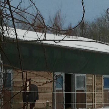 Bild: Stall in  Fell