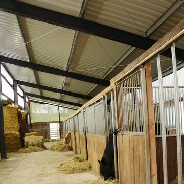 Bild: Stall in  Fell