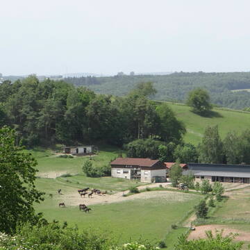 Bild: Stall in  Battweiler