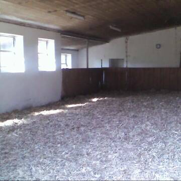 Kleine aber feine Bewegungshalle