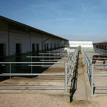 Bild: Stall in  Erftstadt