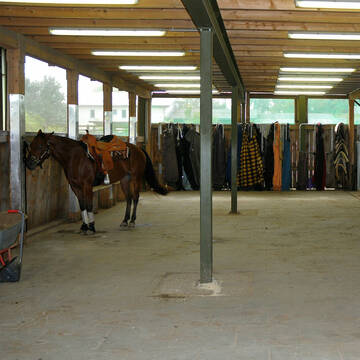 Bild: Stall in  Worfelden