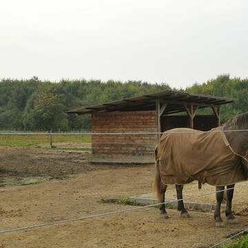 Bild: Stall in  Worfelden