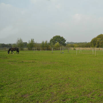 Bild: Stall in  Worfelden