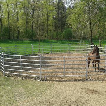 Roundpen