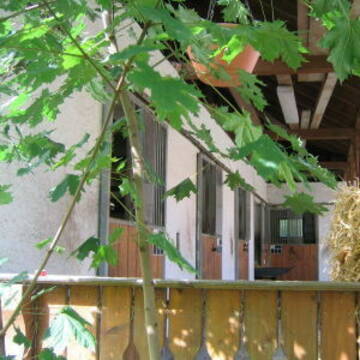 Bild: Stall in  Epfach